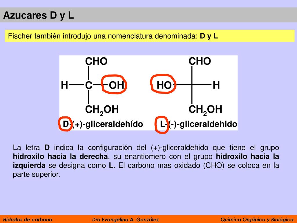 Azucares D y L Fischer también introdujo una nomenclatura denominada: D y L.