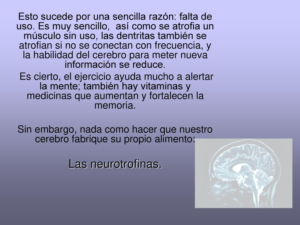 Esto sucede por una sencilla razón: falta de uso