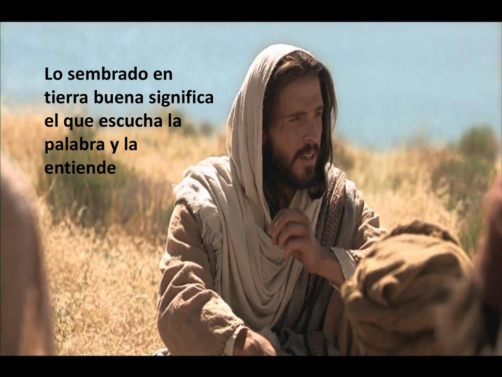 Lo sembrado en tierra buena significa el que escucha la palabra y la entiende