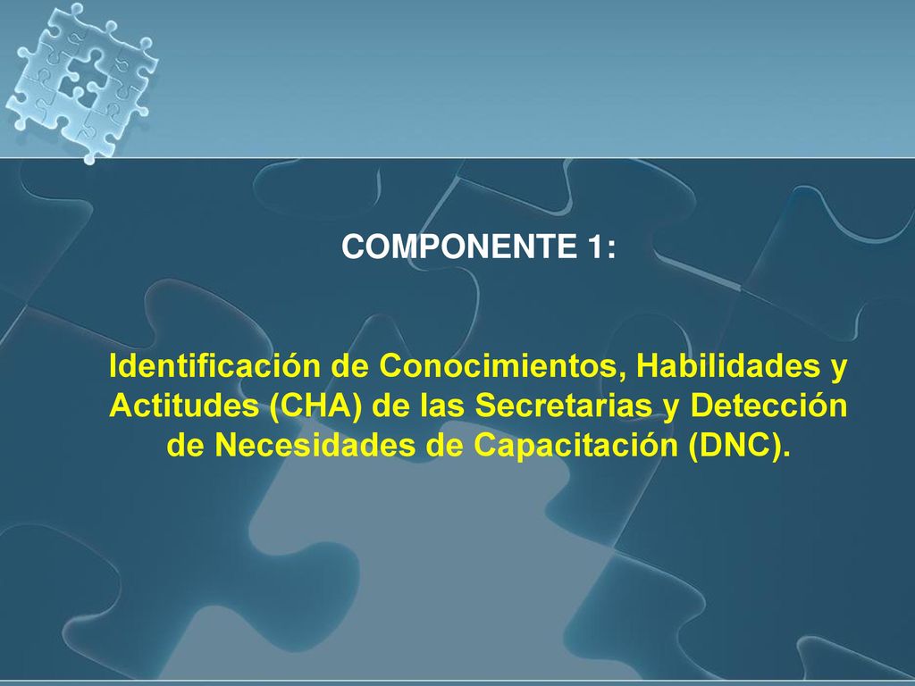COMPONENTE 1: Identificación de Conocimientos, Habilidades y Actitudes (CHA) de las Secretarias y Detección de Necesidades de Capacitación (DNC).