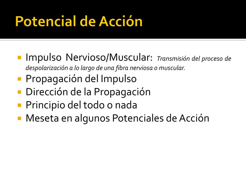 Potencial de Acción Impulso Nervioso/Muscular: Transmisión del proceso de despolarización a lo largo de una fibra nerviosa o muscular.
