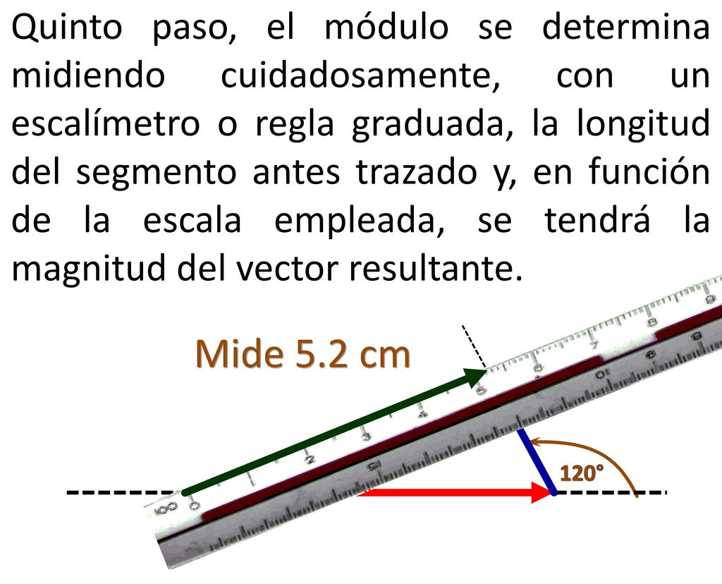 Quinto paso, el módulo se determina midiendo cuidadosamente, con un escalímetro o regla graduada, la longitud del segmento antes trazado y, en función de la escala empleada, se tendrá la magnitud del vector resultante.