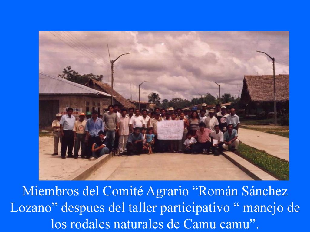 Miembros del Comité Agrario Román Sánchez Lozano despues del taller participativo manejo de los rodales naturales de Camu camu .