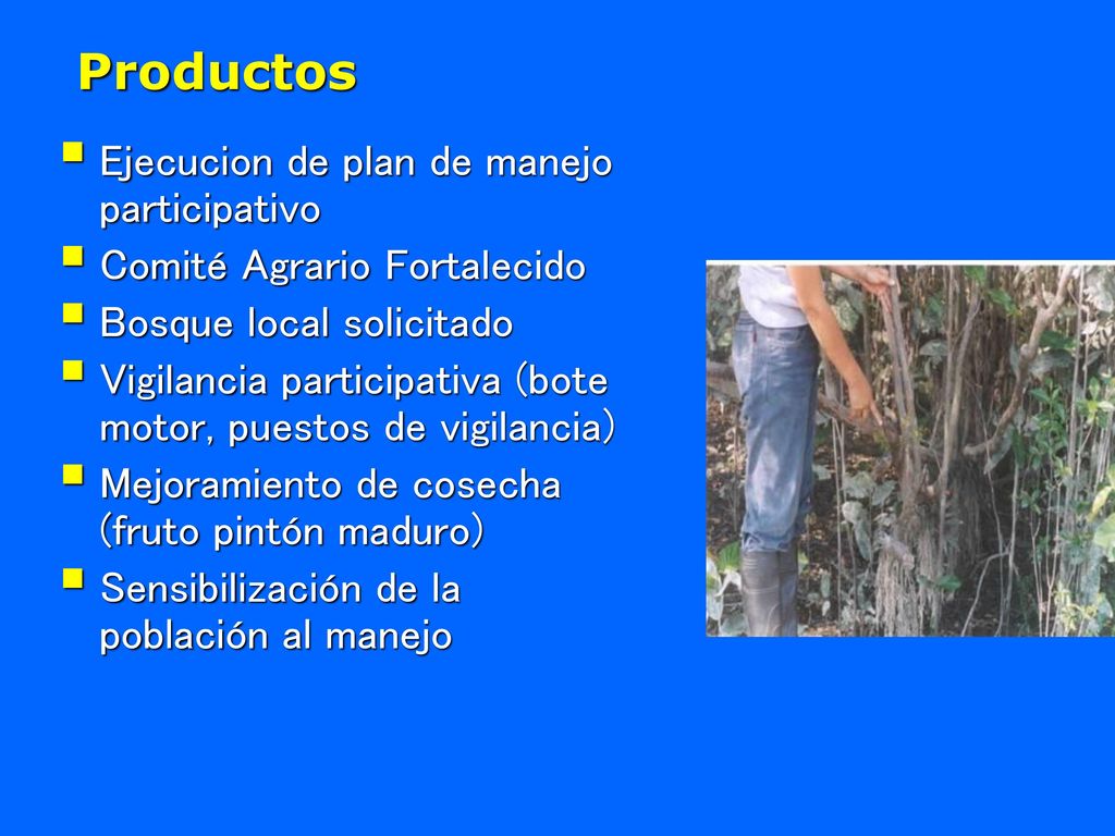 Productos Ejecucion de plan de manejo participativo