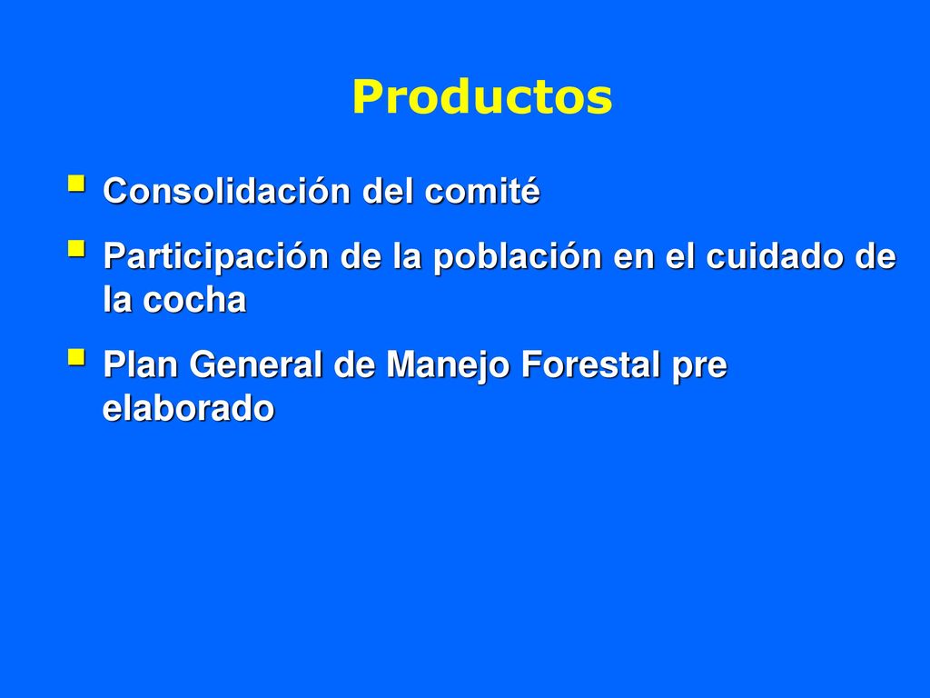 Productos Consolidación del comité
