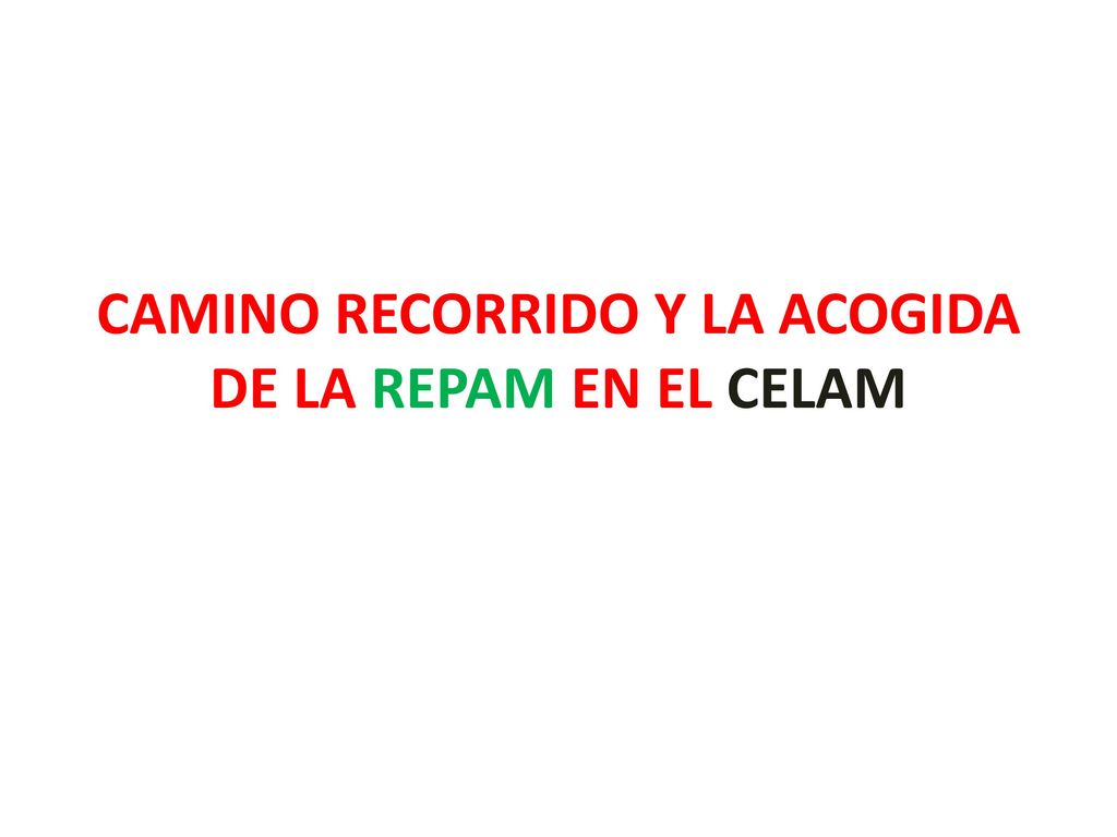 CAMINO RECORRIDO Y LA ACOGIDA DE LA REPAM EN EL CELAM