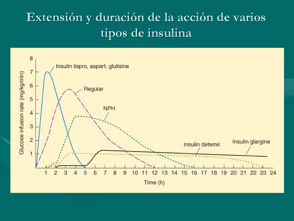 Extensión y duración de la acción de varios tipos de insulina