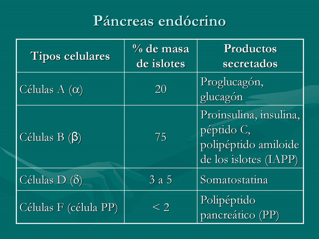 Páncreas endócrino Tipos celulares % de masa de islotes