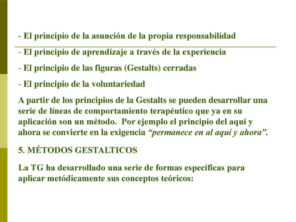 - El principio de la asunción de la propia responsabilidad