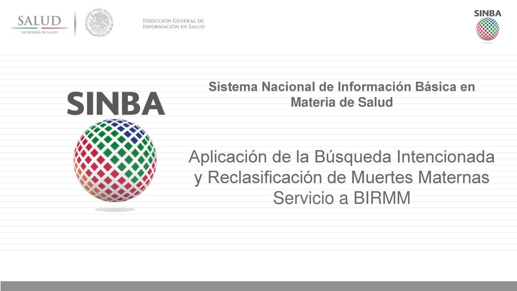 Sistema Nacional de Información Básica en Materia de Salud
