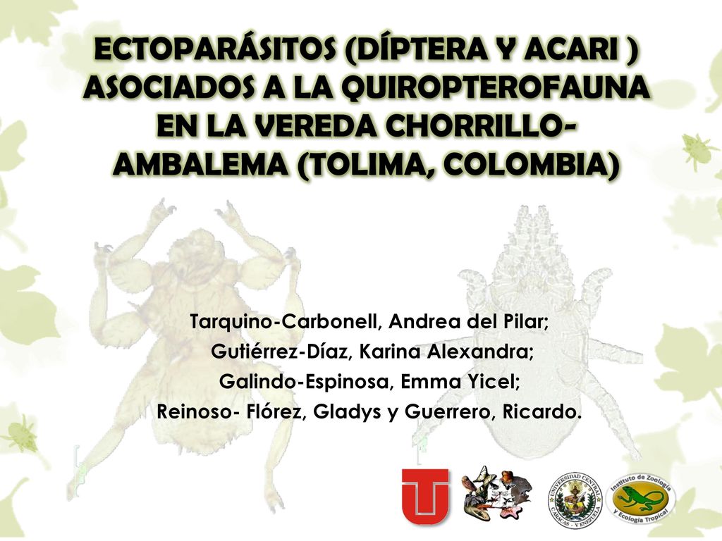 ECTOPARÁSITOS (DÍPTERA Y ACARI ) ASOCIADOS A LA QUIROPTEROFAUNA EN LA VEREDA CHORRILLO- AMBALEMA (TOLIMA, COLOMBIA)