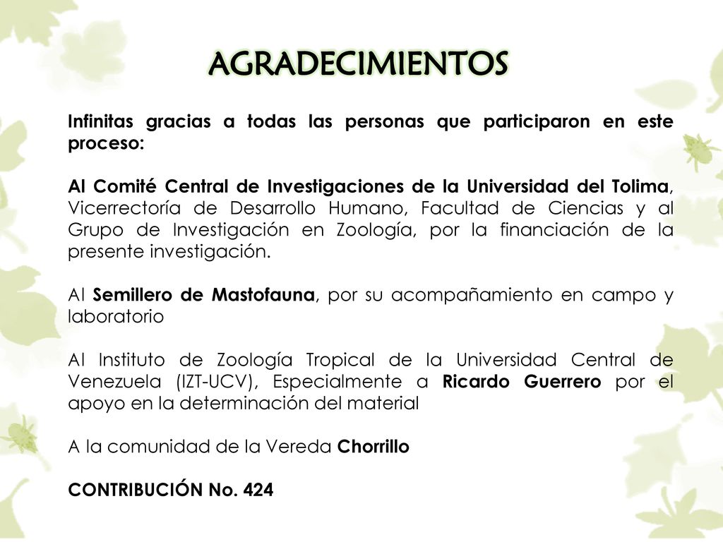 AGRADECIMIENTOS Infinitas gracias a todas las personas que participaron en este proceso: