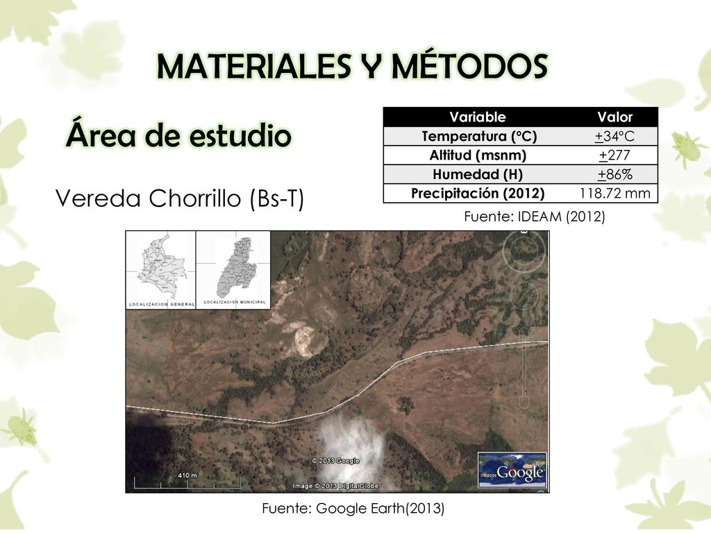 MATERIALES Y MÉTODOS Área de estudio Vereda Chorrillo (Bs-T) Variable