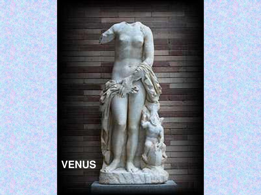 VENUS