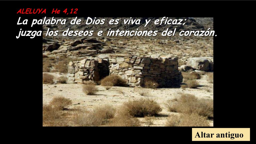 ALELUYA He 4,12 La palabra de Dios es viva y eficaz; juzga los deseos e intenciones del corazón.