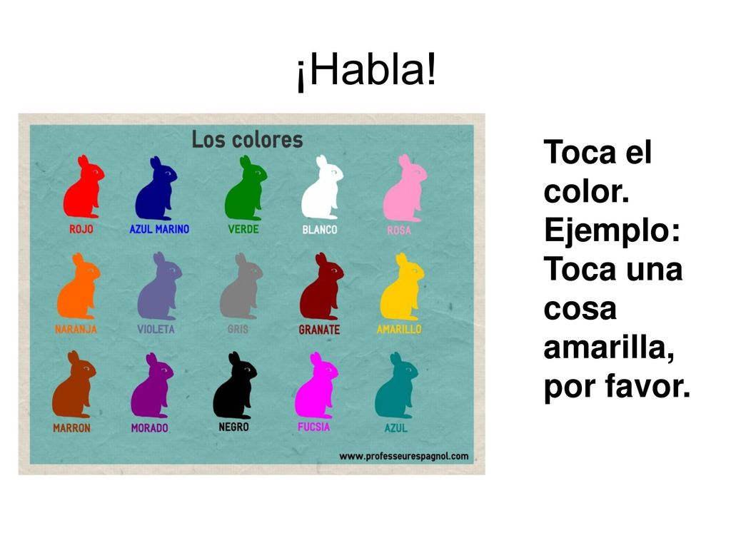 ¡Habla! Toca el color. Ejemplo: Toca una cosa amarilla, por favor.