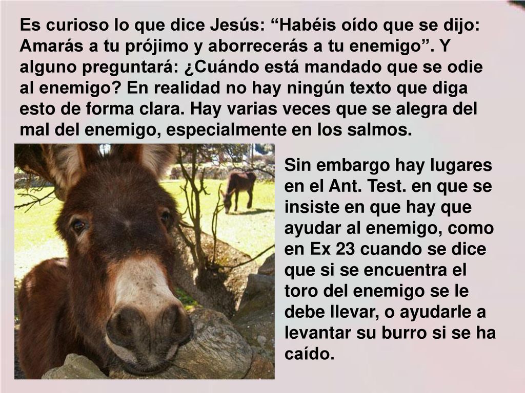 Es curioso lo que dice Jesús: Habéis oído que se dijo: Amarás a tu prójimo y aborrecerás a tu enemigo . Y alguno preguntará: ¿Cuándo está mandado que se odie al enemigo En realidad no hay ningún texto que diga esto de forma clara. Hay varias veces que se alegra del mal del enemigo, especialmente en los salmos.