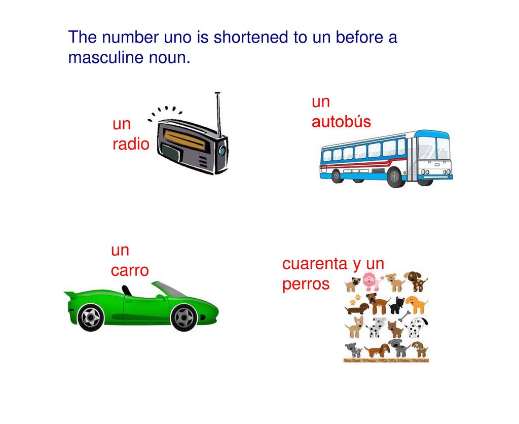 The number uno is shortened to un before a masculine noun.