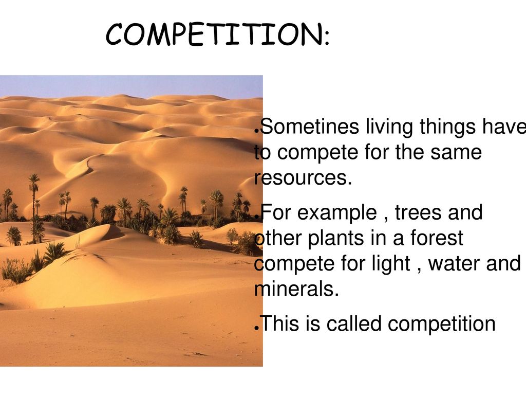 COMPETITION: Sometines living things have to compete for the same resources.
