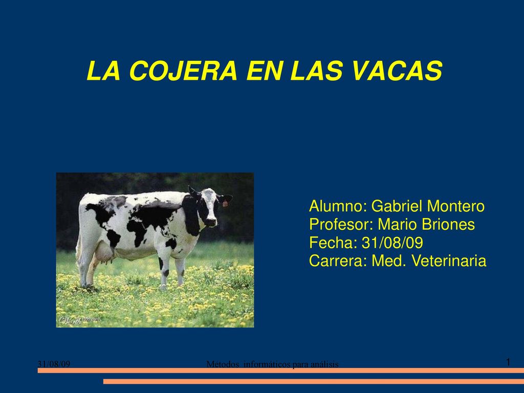 LA COJERA EN LAS VACAS Alumno: Gabriel Montero Profesor: Mario Briones