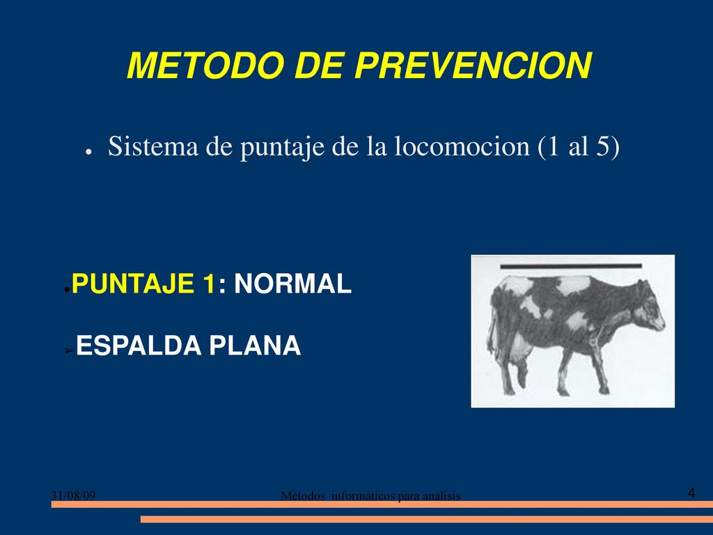 METODO DE PREVENCION Sistema de puntaje de la locomocion (1 al 5)