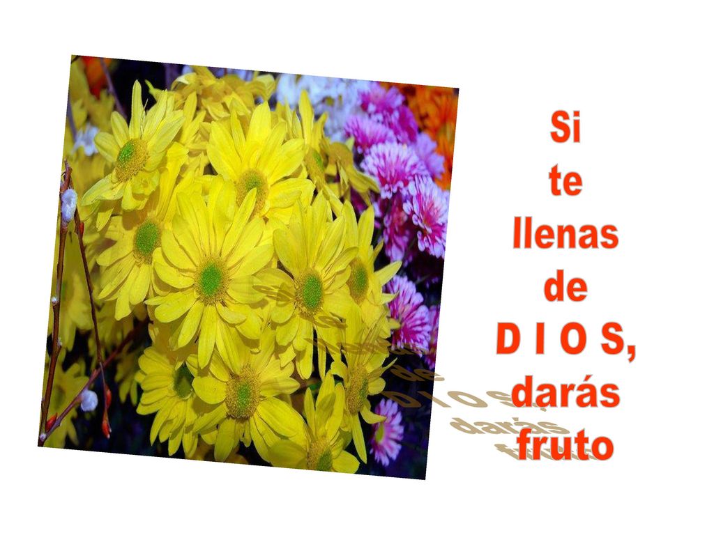 Si te llenas de D I O S, darás fruto