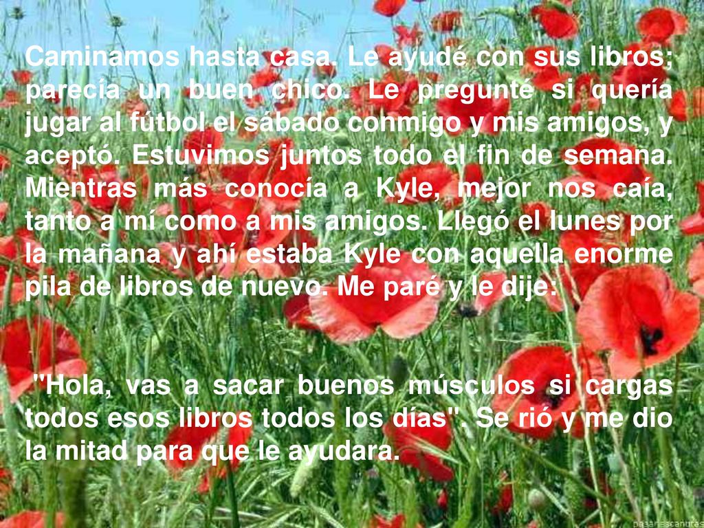 Caminamos hasta casa. Le ayudé con sus libros; parecía un buen chico