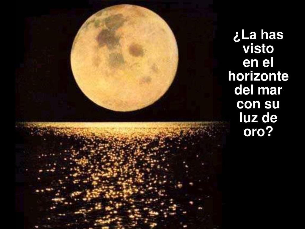 ¿La has visto en el horizonte del mar con su luz de oro