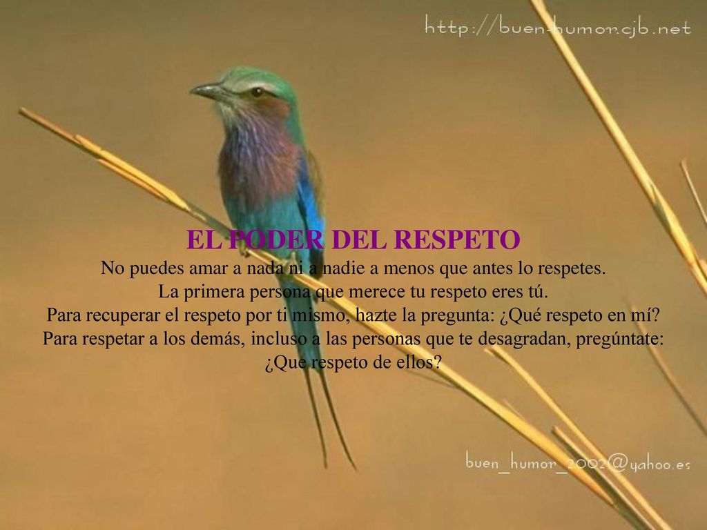 EL PODER DEL RESPETO No puedes amar a nada ni a nadie a menos que antes lo respetes.