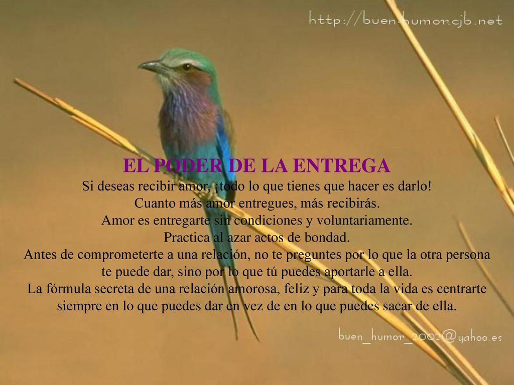 EL PODER DE LA ENTREGA Si deseas recibir amor, ¡todo lo que tienes que hacer es darlo.