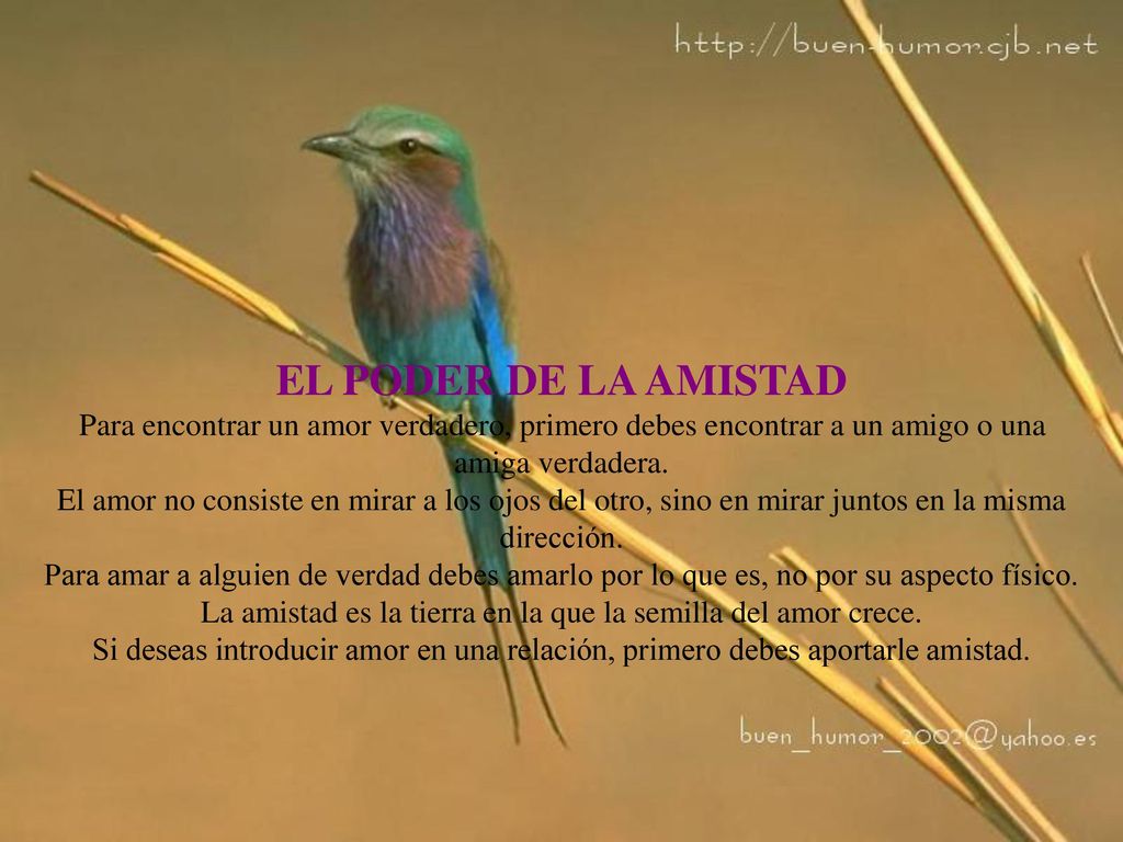 EL PODER DE LA AMISTAD Para encontrar un amor verdadero, primero debes encontrar a un amigo o una amiga verdadera.