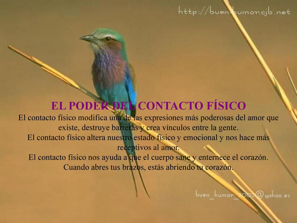 EL PODER DEL CONTACTO FÍSICO El contacto físico modifica una de las expresiones más poderosas del amor que existe, destruye barreras y crea vínculos entre la gente.