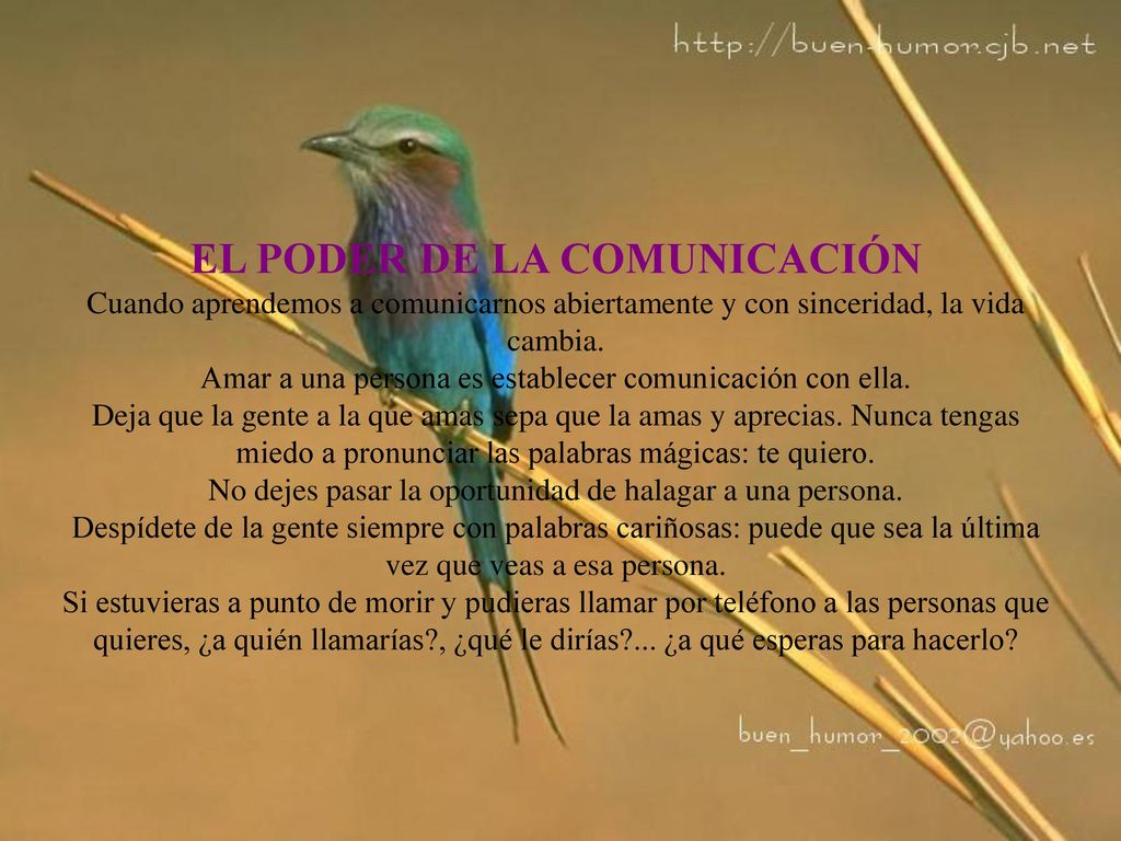 EL PODER DE LA COMUNICACIÓN Cuando aprendemos a comunicarnos abiertamente y con sinceridad, la vida cambia.