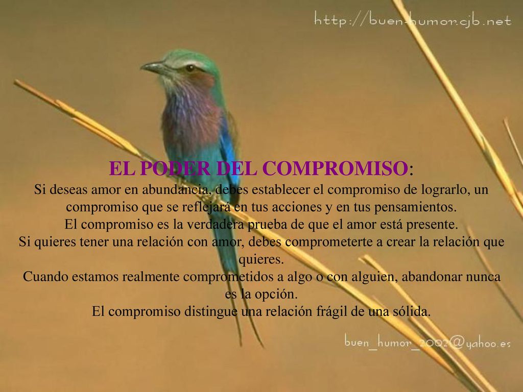 EL PODER DEL COMPROMISO: Si deseas amor en abundancia, debes establecer el compromiso de lograrlo, un compromiso que se reflejará en tus acciones y en tus pensamientos.