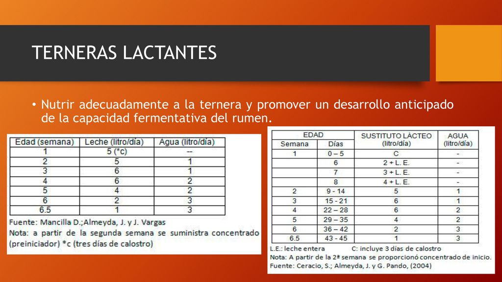 TERNERAS LACTANTES Nutrir adecuadamente a la ternera y promover un desarrollo anticipado de la capacidad fermentativa del rumen.