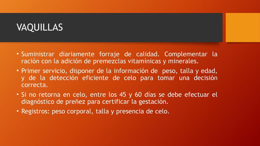 VAQUILLAS Suministrar diariamente forraje de calidad. Complementar la ración con la adición de premezclas vitamínicas y minerales.