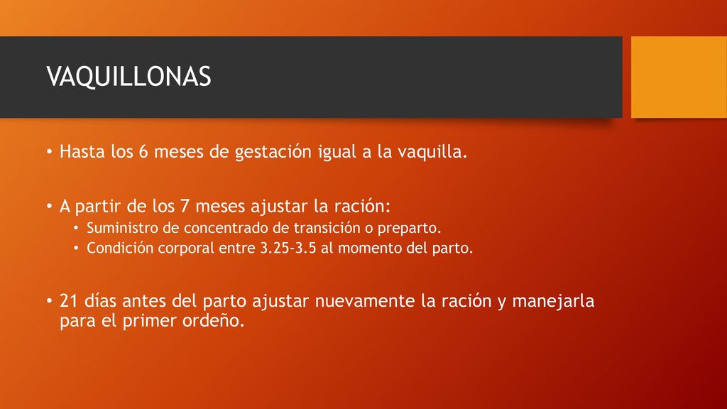 VAQUILLONAS Hasta los 6 meses de gestación igual a la vaquilla.