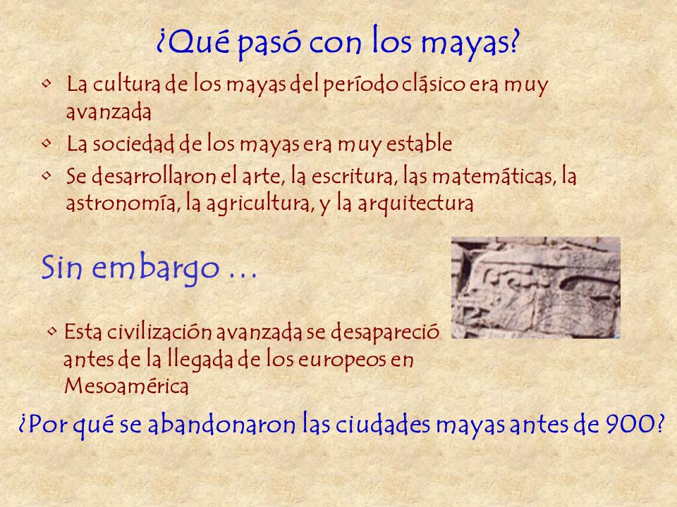 ¿Qué pasó con los mayas Sin embargo …