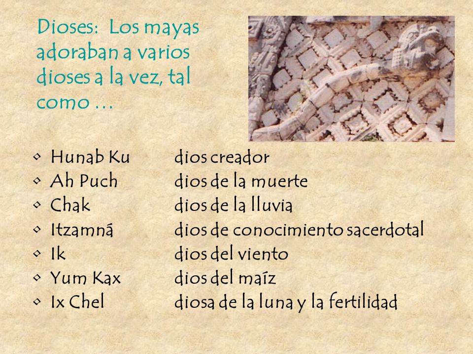 Dioses: Los mayas adoraban a varios dioses a la vez, tal como …