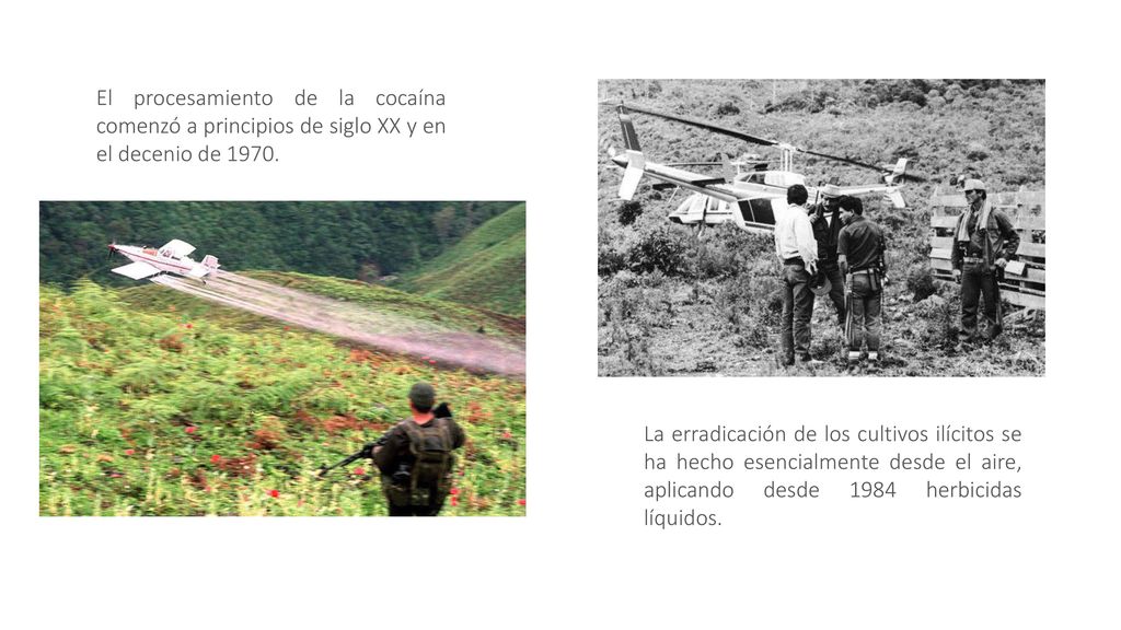 El procesamiento de la cocaína comenzó a principios de siglo XX y en el decenio de 1970.