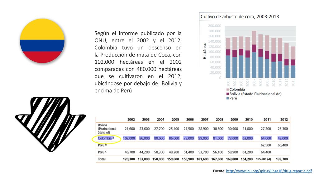 Según el informe publicado por la ONU, entre el 2002 y el 2012, Colombia tuvo un descenso en la Producción de mata de Coca, con hectáreas en el 2002 comparadas con hectáreas que se cultivaron en el 2012, ubicándose por debajo de Bolivia y encima de Perú