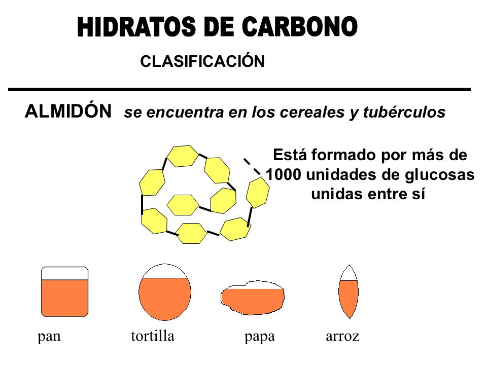 HIDRATOS DE CARBONO ALMIDÓN se encuentra en los cereales y tubérculos