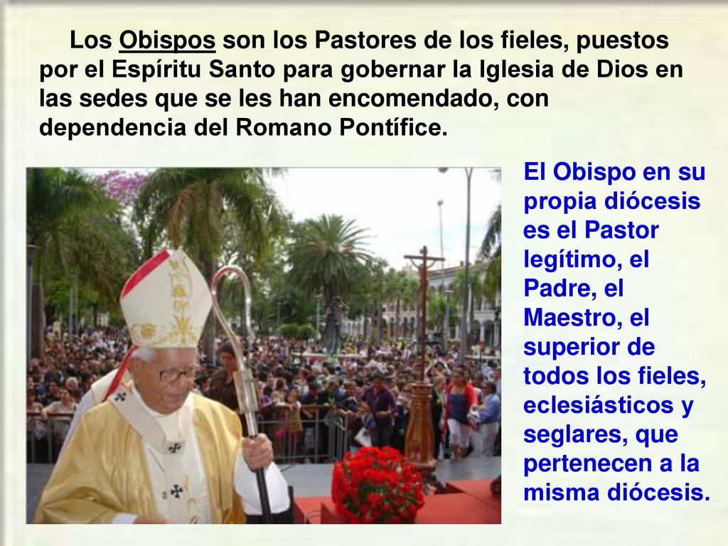Los Obispos son los Pastores de los fieles, puestos por el Espíritu Santo para gobernar la Iglesia de Dios en las sedes que se les han encomendado, con dependencia del Romano Pontífice.
