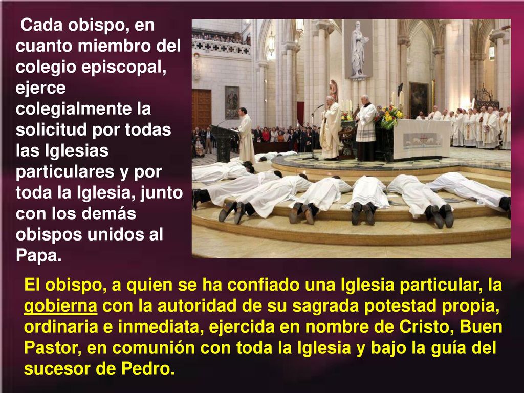 Cada obispo, en cuanto miembro del colegio episcopal, ejerce colegialmente la solicitud por todas las Iglesias particulares y por toda la Iglesia, junto con los demás obispos unidos al Papa.