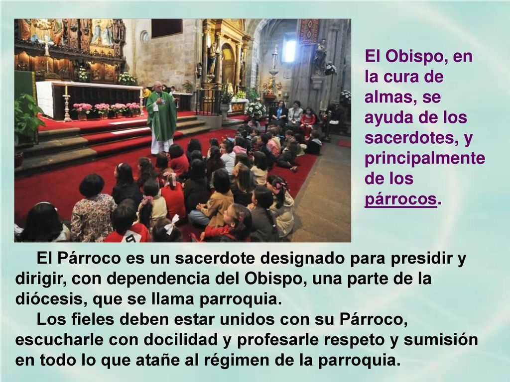 El Obispo, en la cura de almas, se ayuda de los sacerdotes, y principalmente de los párrocos.