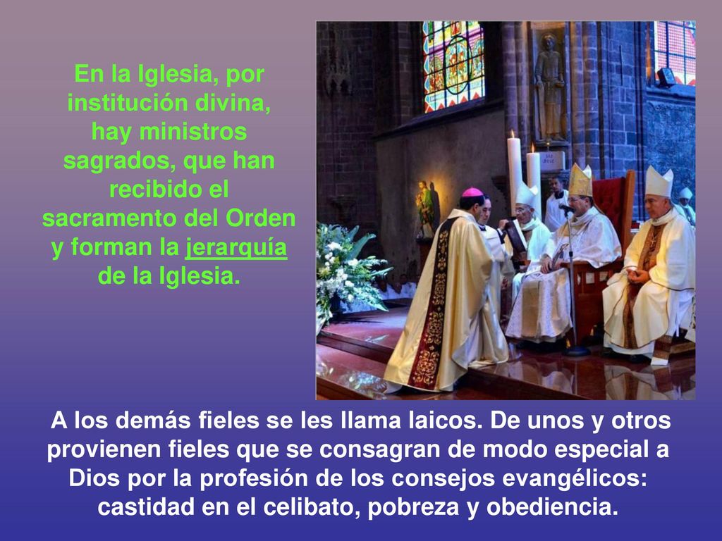 En la Iglesia, por institución divina, hay ministros sagrados, que han recibido el sacramento del Orden y forman la jerarquía de la Iglesia.