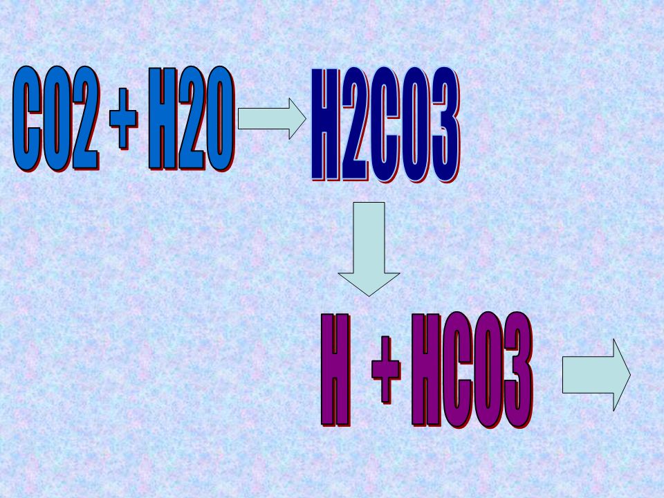 CO2 + H20 H2C03 H + HCO3
