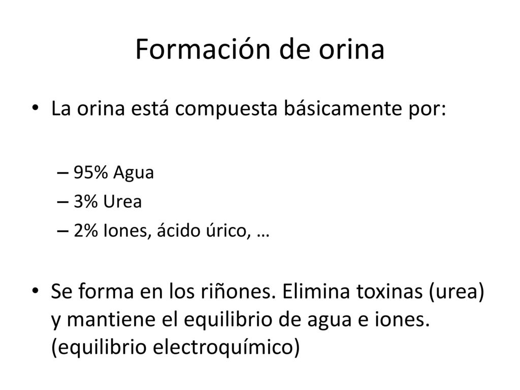 Formación de orina La orina está compuesta básicamente por: