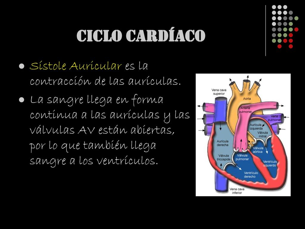 CICLO CARDÍACO Sístole Auricular es la contracción de las aurículas.