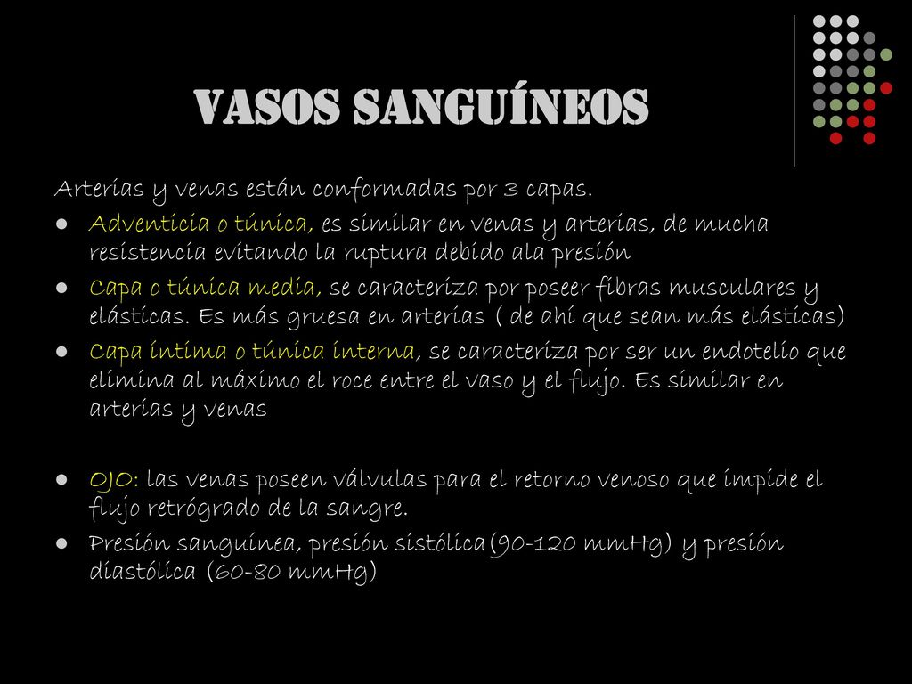 VASOS SANGUÍNEOS Arterias y venas están conformadas por 3 capas.